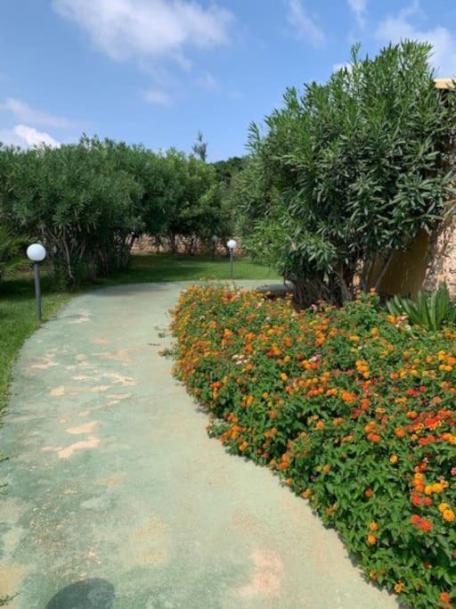 Villa Maveda, Un Dammuso Immerso Nel Verde Lampedusa Exterior foto