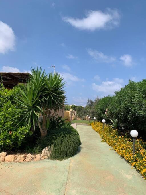 Villa Maveda, Un Dammuso Immerso Nel Verde Lampedusa Exterior foto